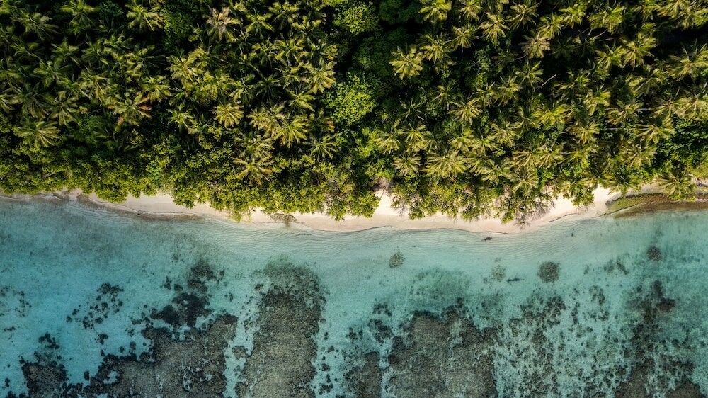 Фото Whaleshark Beach