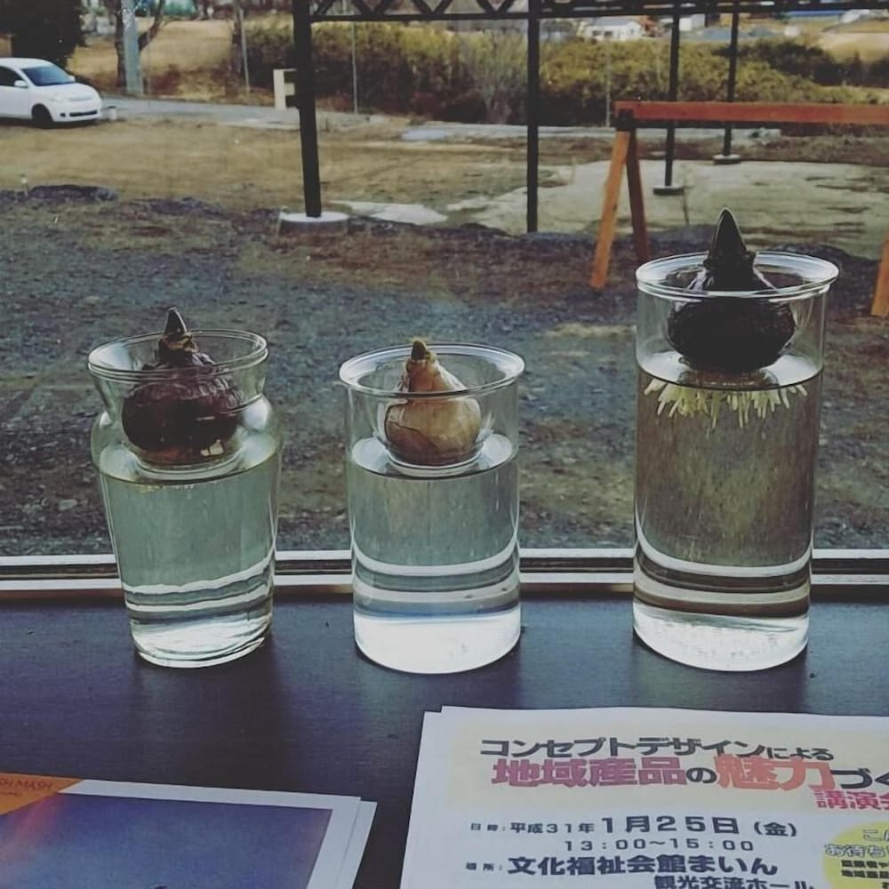 Фото Guesthouse-Lahar- Hostel