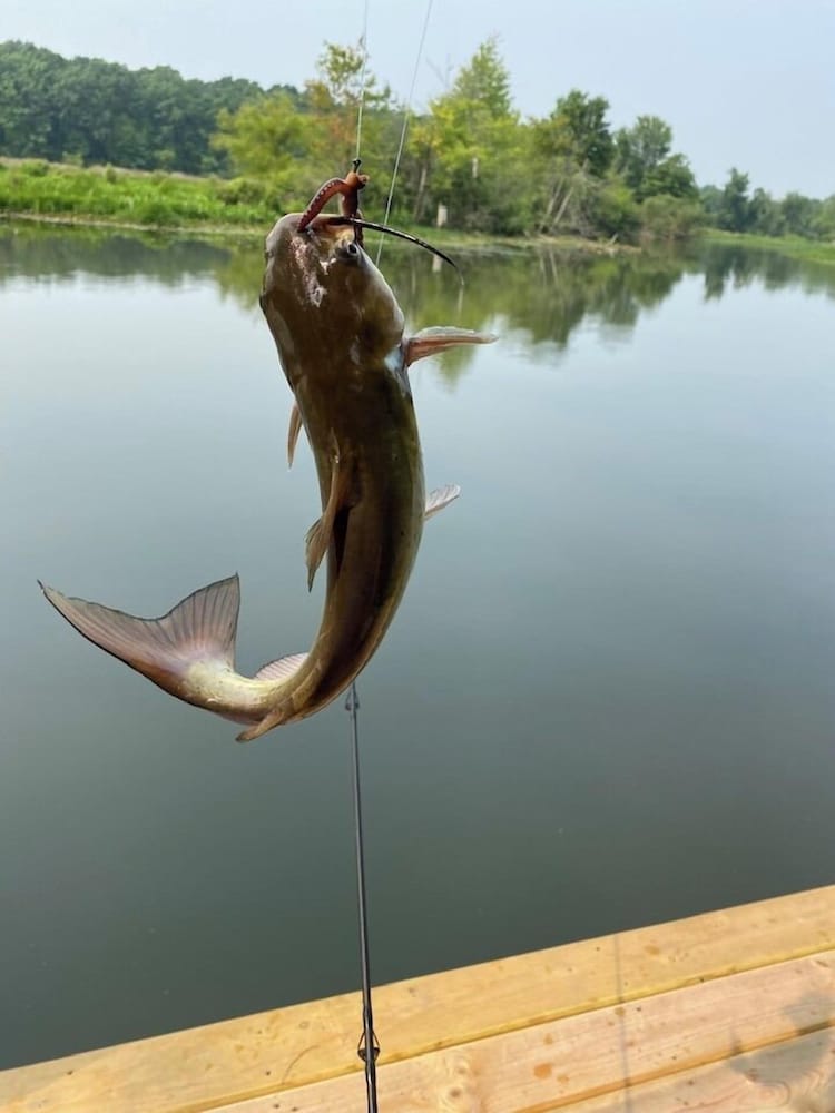 Фото The Sanctuary On Huron River