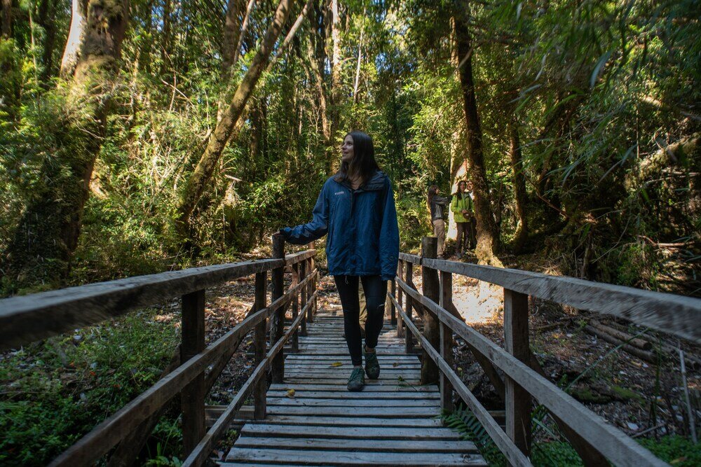 Фото Hotel Parque Tepuhueico