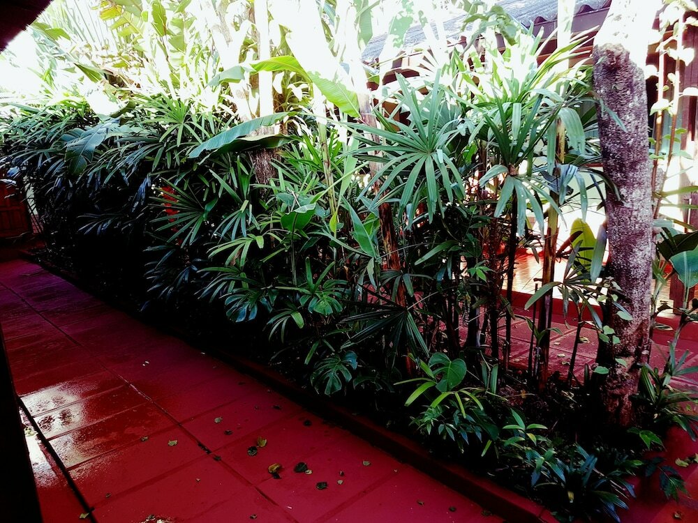 Фото Hosteria Los Helechos