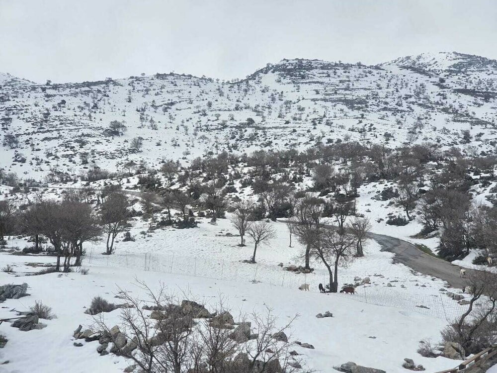 Фото Psiloritis Retreat Hotel