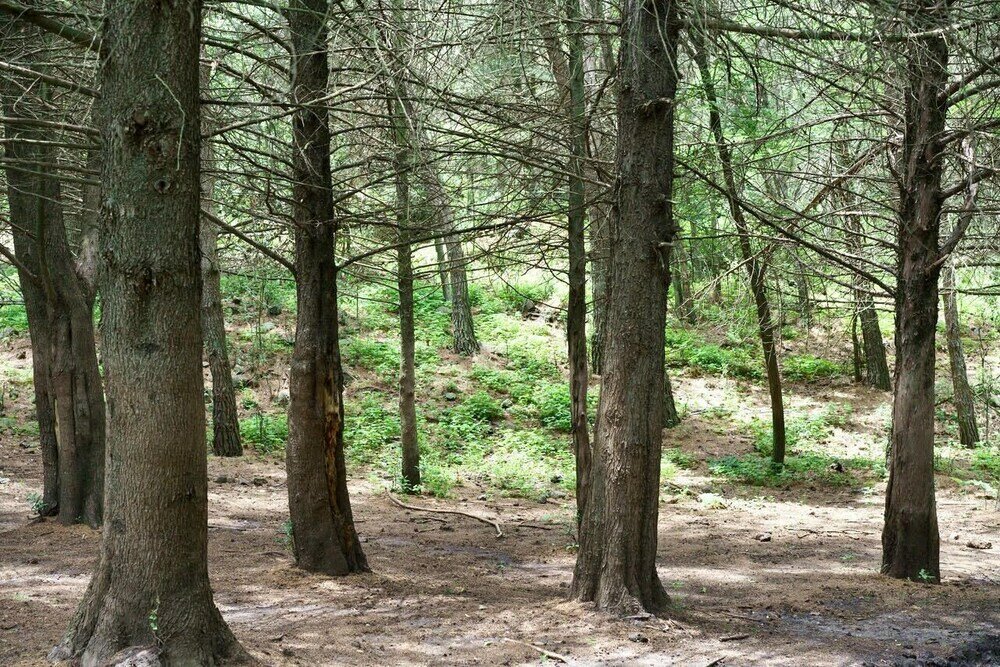 Фото Estancia Grande