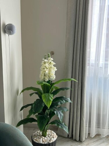 Апартаменты Great Escape - Stylish Apartment El Gouna Road в Эль-Гуне