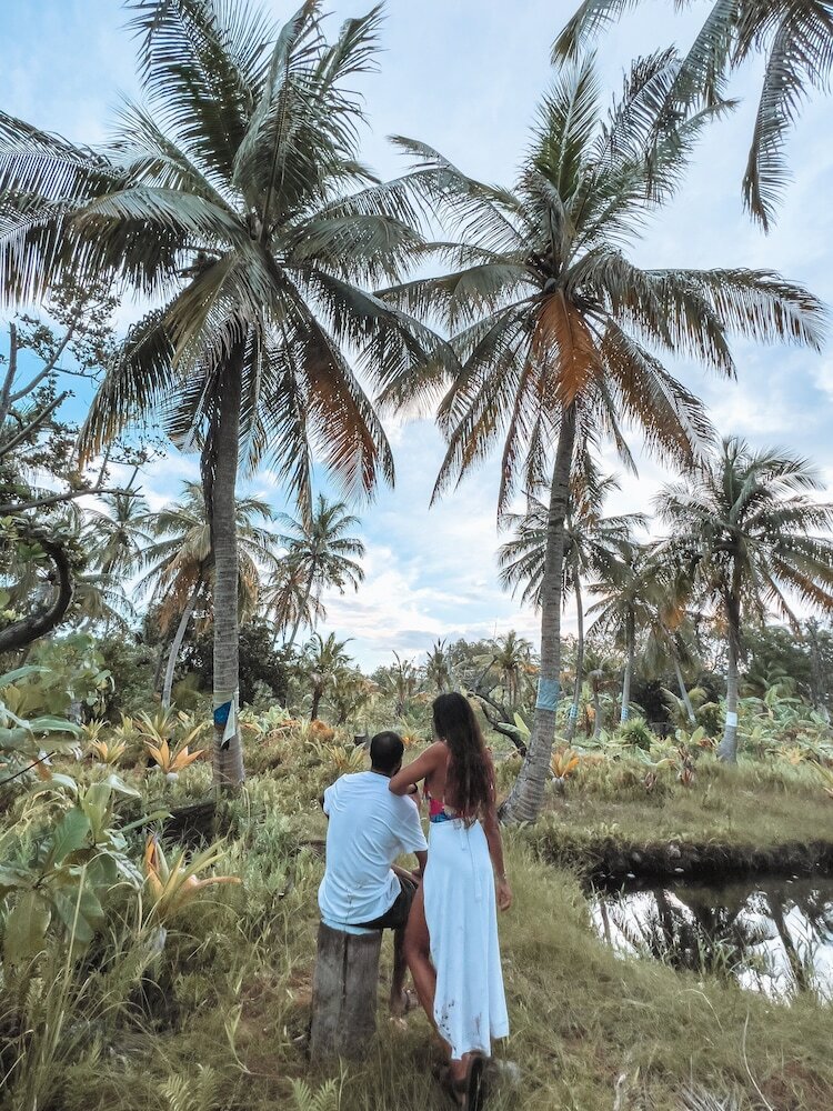 Фото Ataraxis Grand and SPA