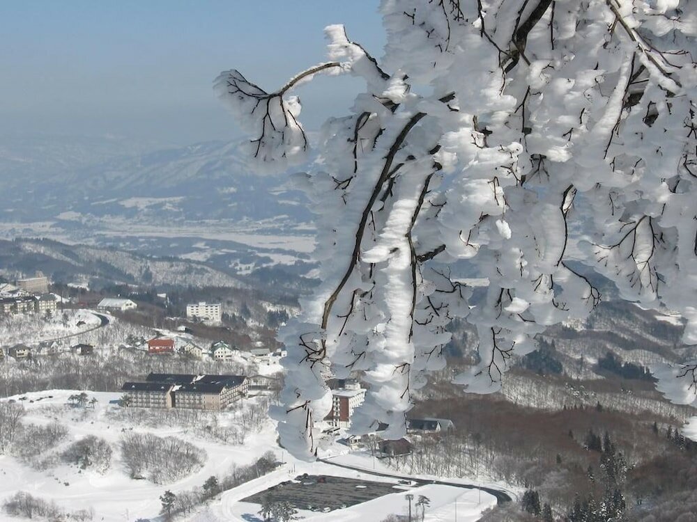 Фото Yamadasan Lodge