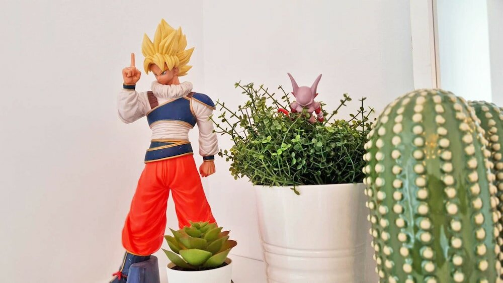 Фото GregBnb - Le Valbourdin - Toulon Ouest