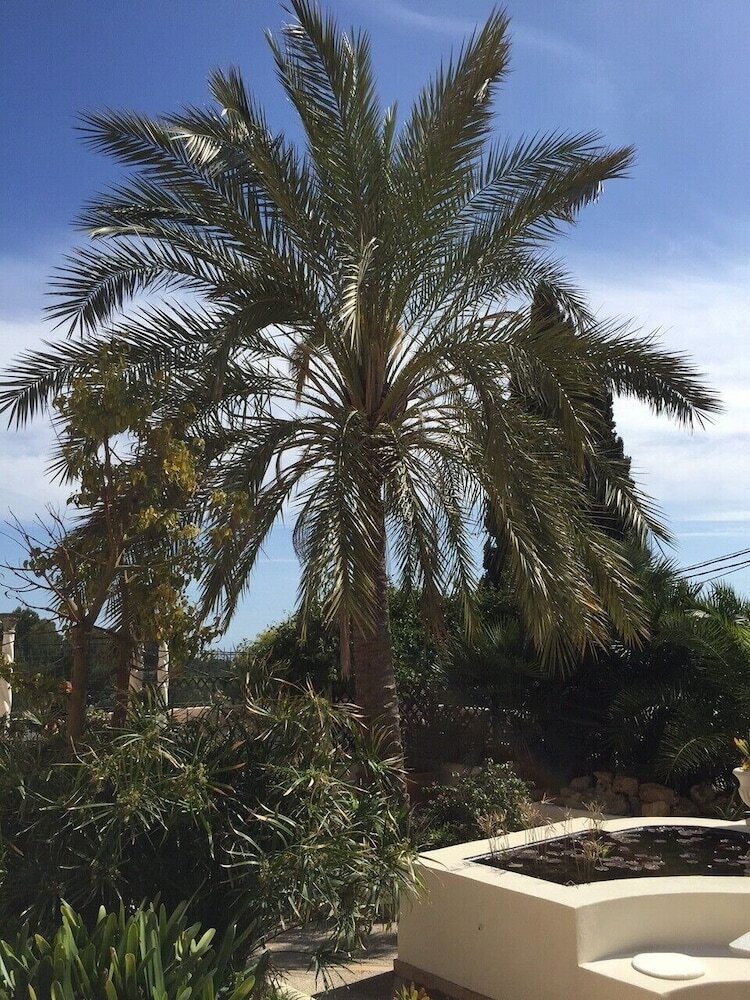 Фото Villa Bon Air