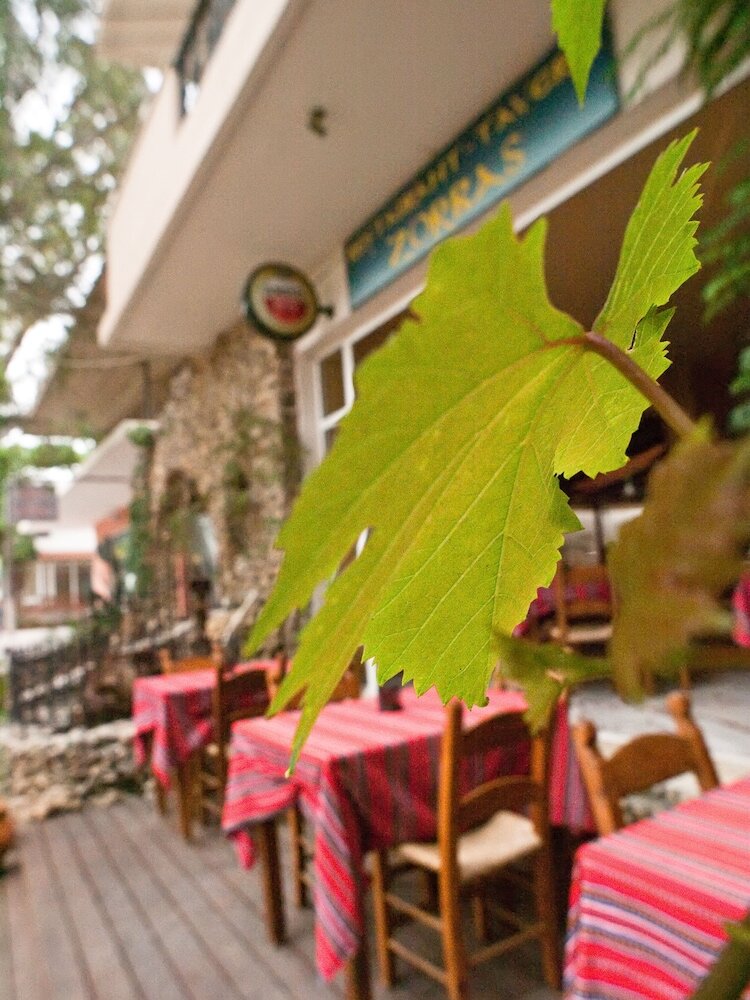 Фото Zorbas Hotel