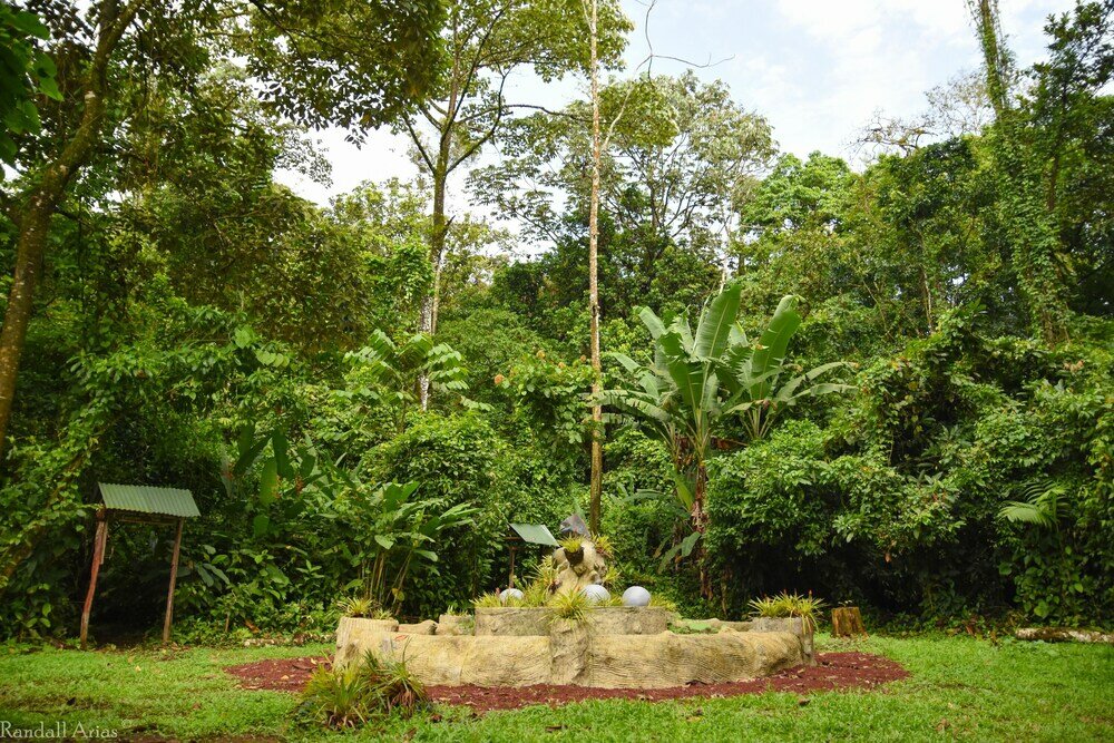 Фото Chilamate Rainforest Eco-retreat