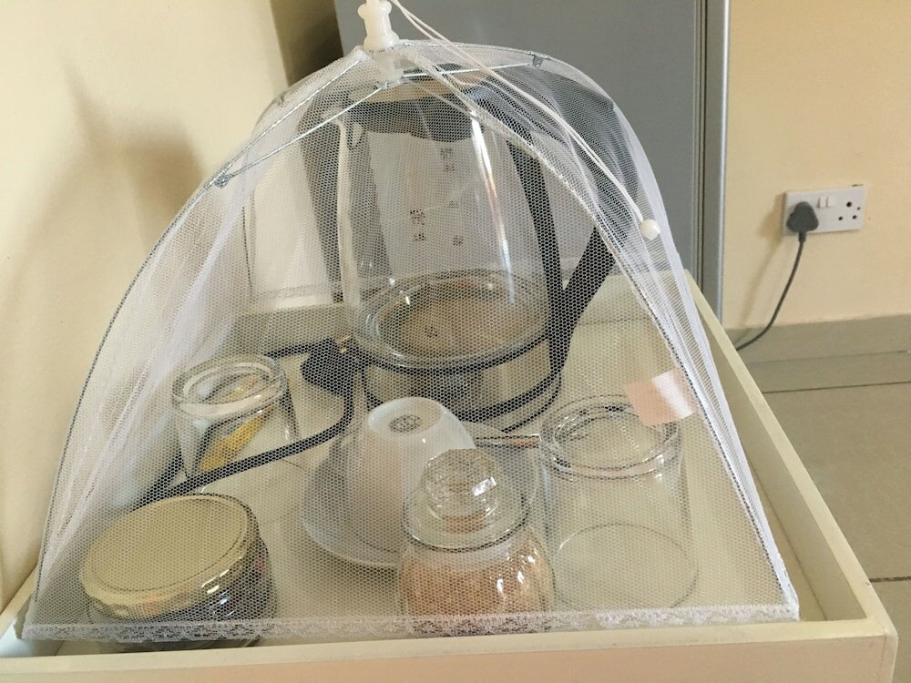 Фото Beautiful Gates Guest House