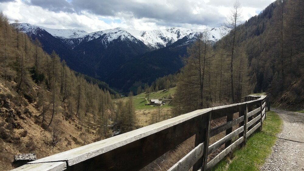 Фото Ferienwohnungen am Berg - Almhütte Alfen