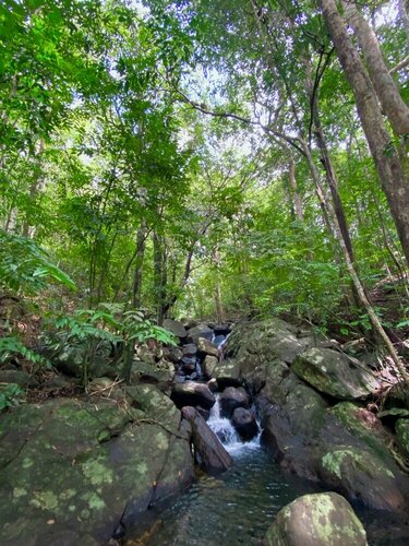 Гостиница Kurunduketiya Private Rainforest Resort