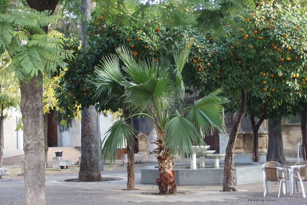 Фото Apartaluz Córdoba Centro Ciudad