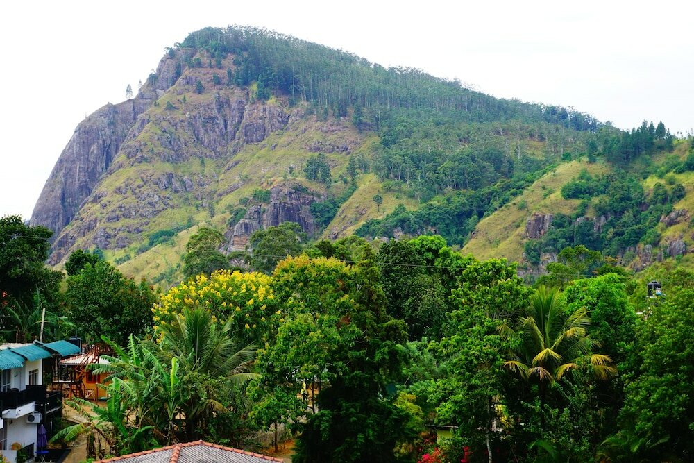 Фото Hotel Sun Breeze