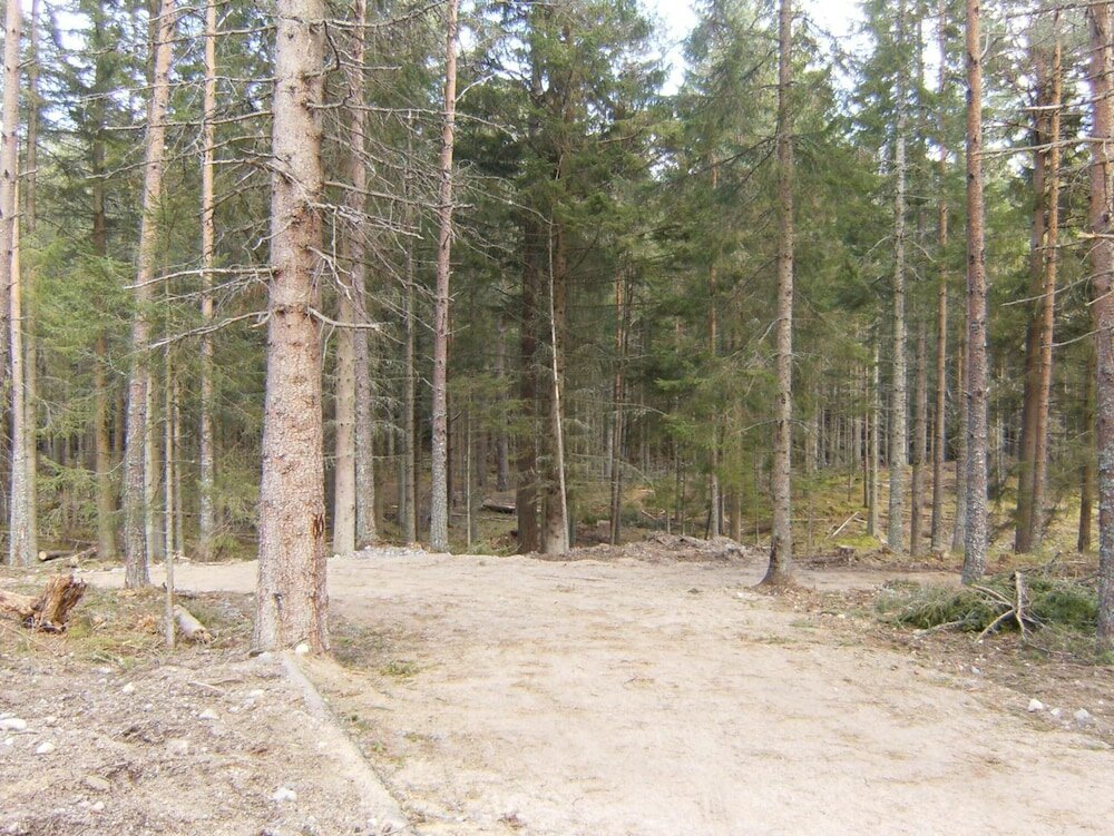 Фото Cairngorm Lodges
