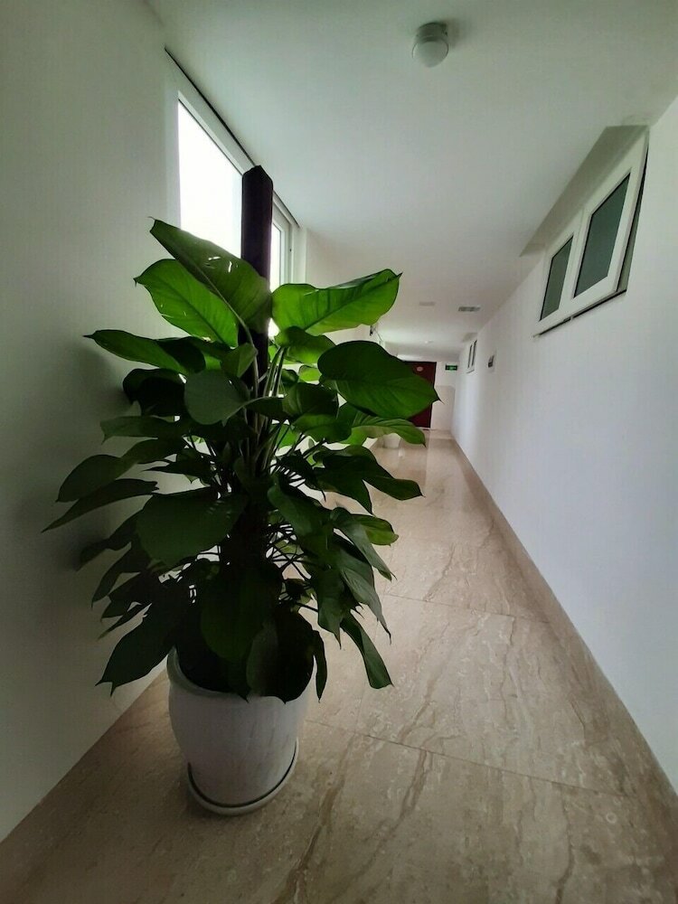 Фото Goplus Hotel Apartment