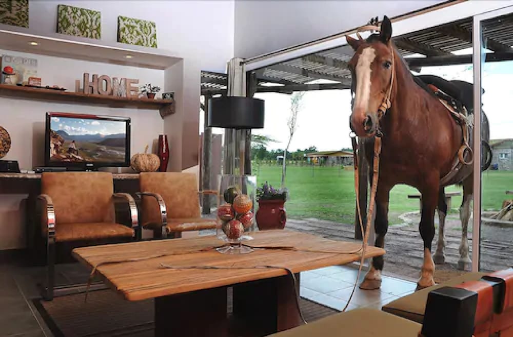 Фото Finca María Cristina