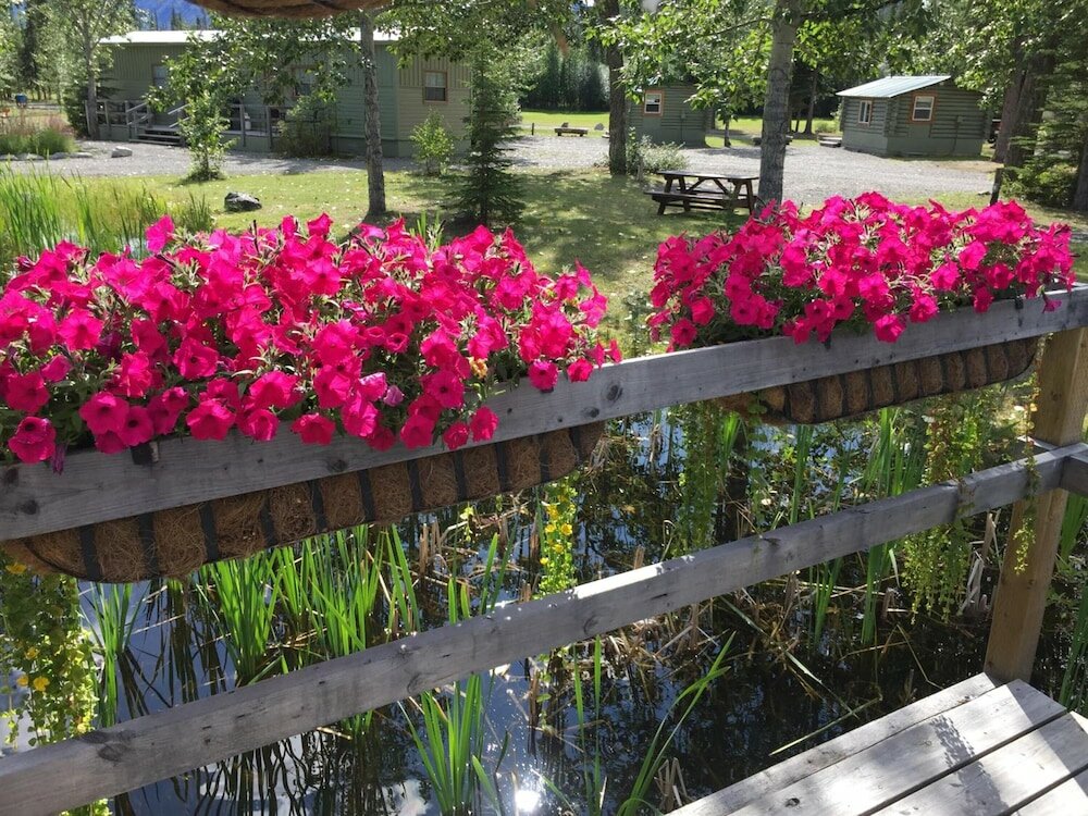 Фото Discovery Yukon Lodgings