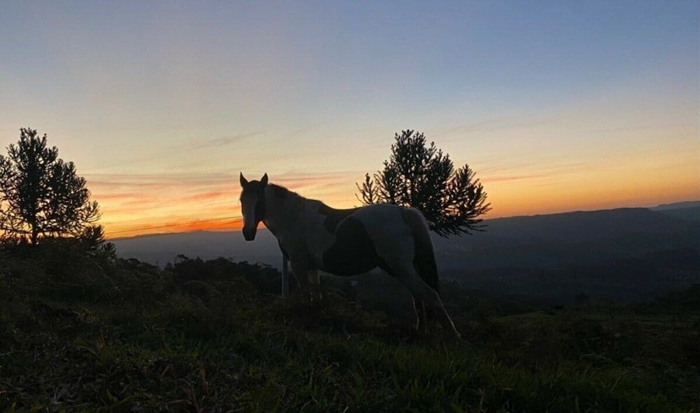 Фото Rancho Sol Poente - Rancho Queimado