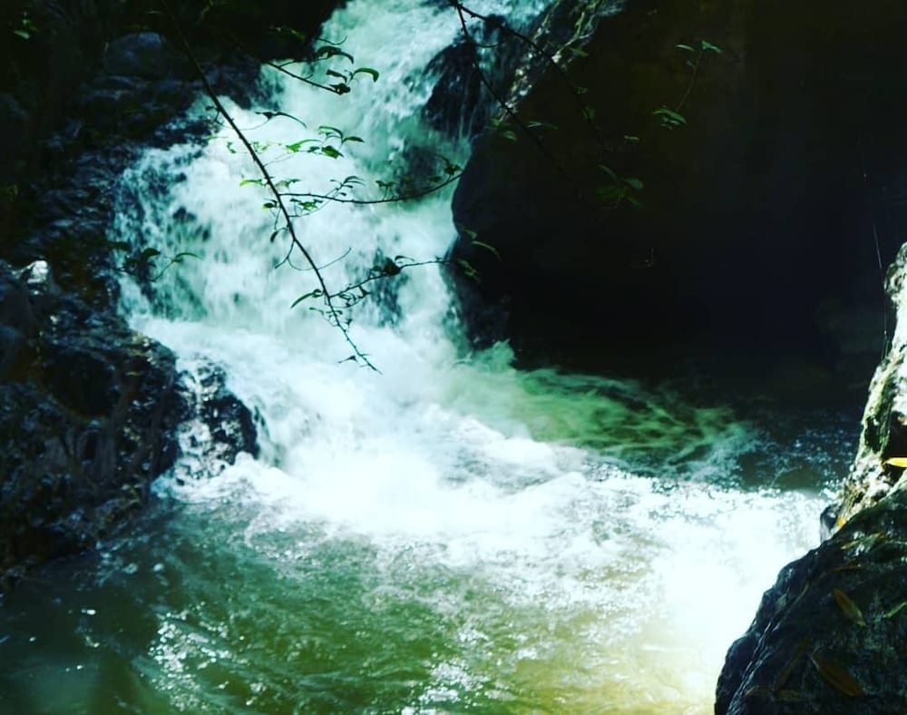 Фото Wayla Villa Maikhao Beach