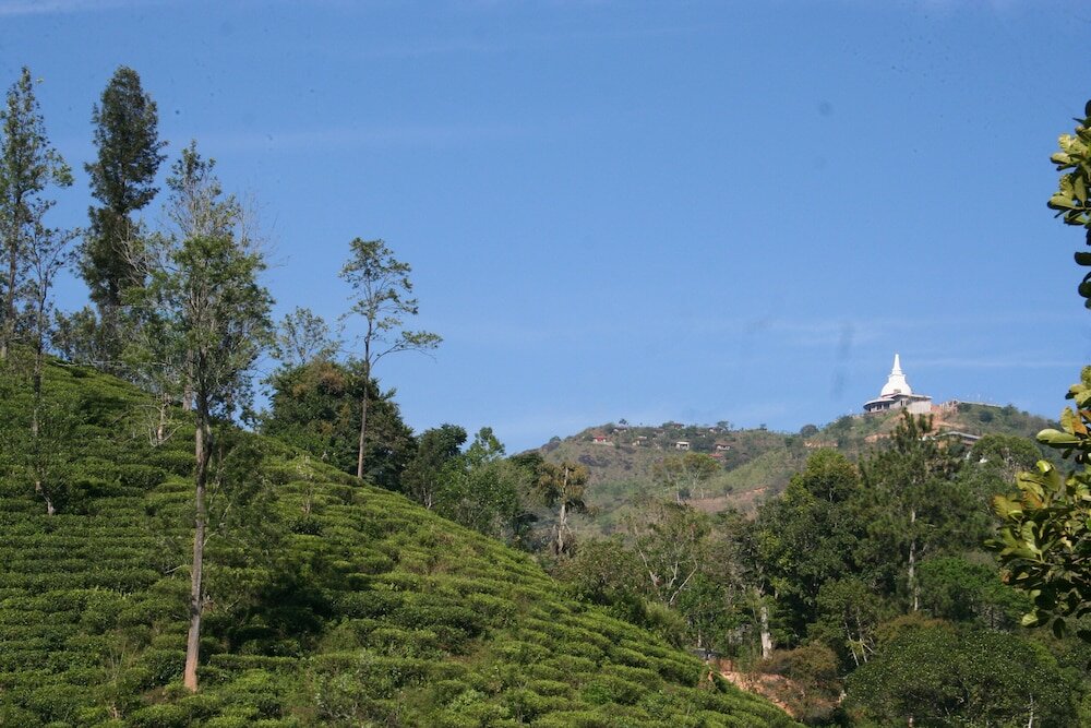 Фото Ayubo Ella - Bed & Breakfast