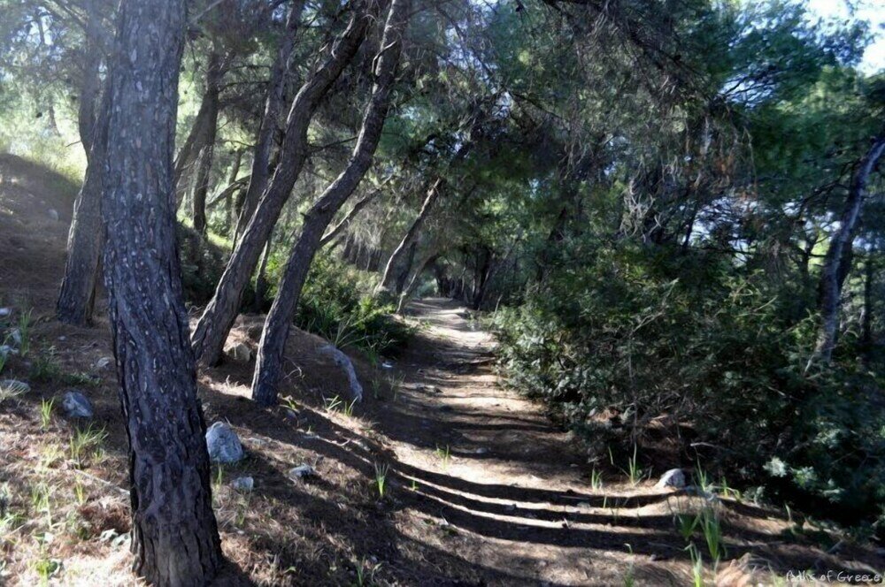 Фото Agistri Apartments