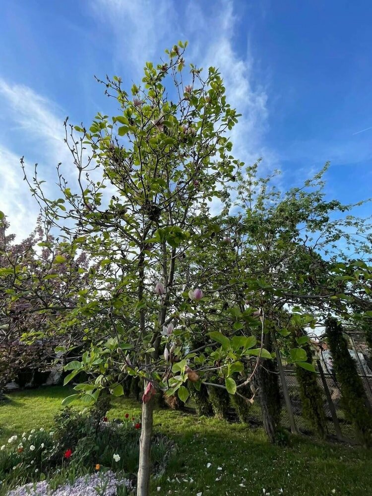 Фото Guest House & Rooms Chris Toros