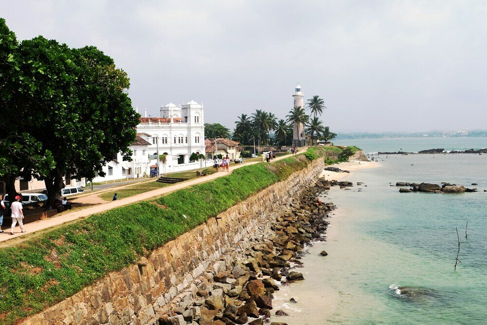 Фото Orchard House