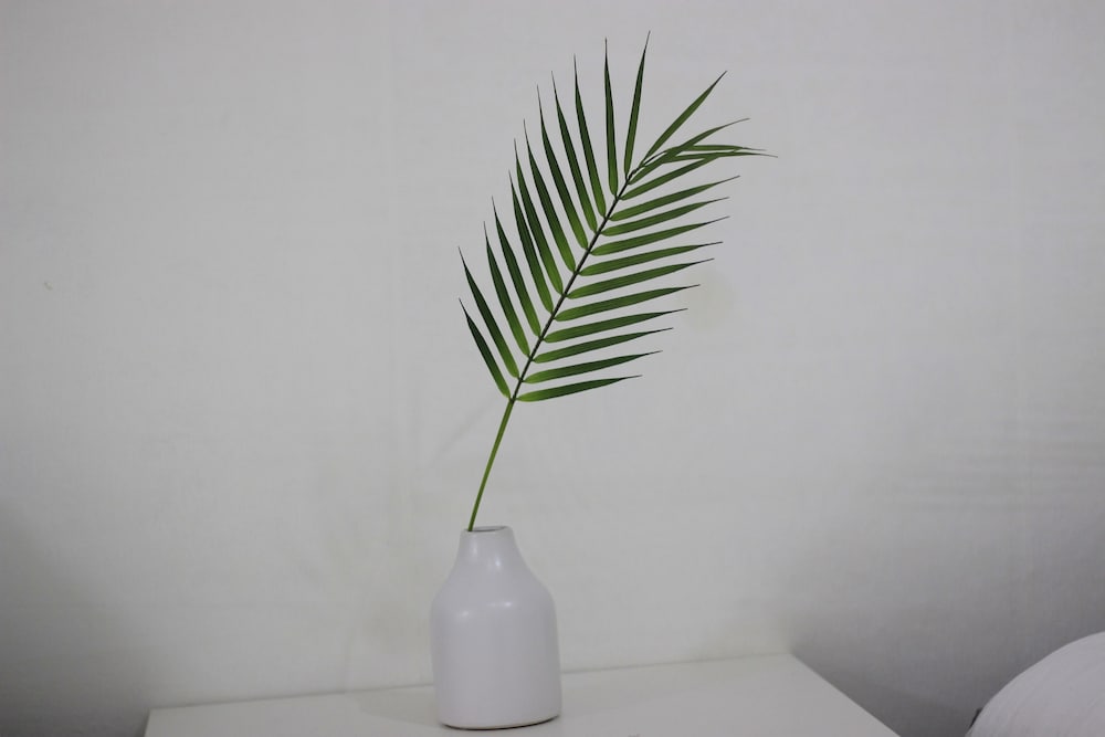 Фото 1 Kay House - Place 4 - Hostel