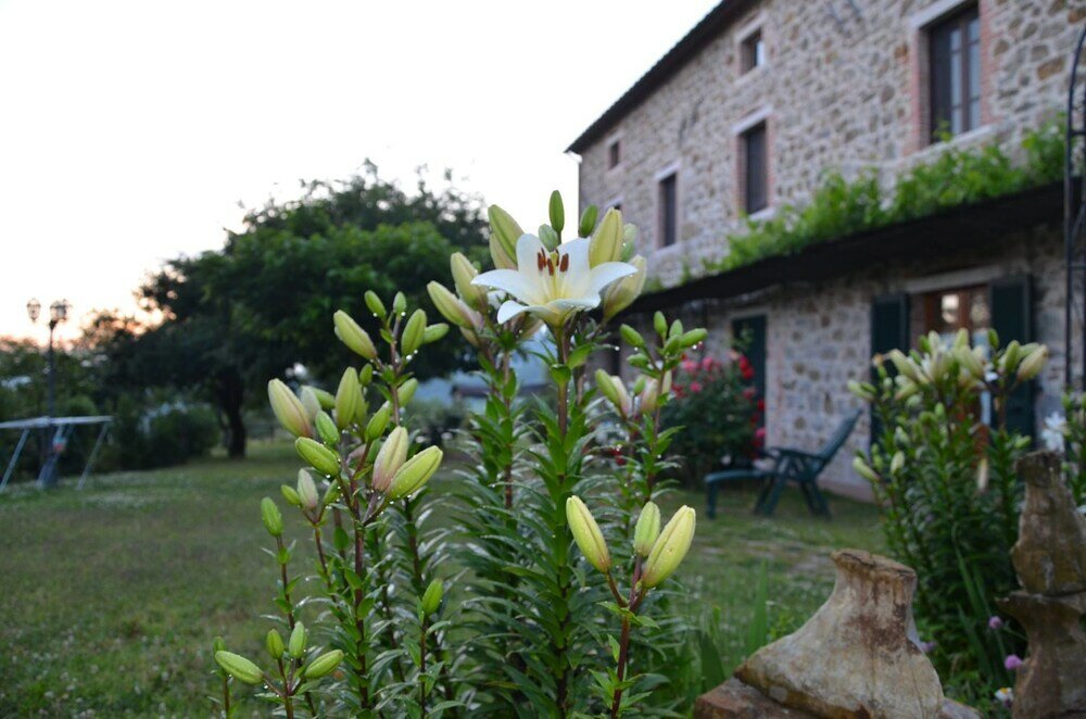 Фото Agriturismo La Marianella