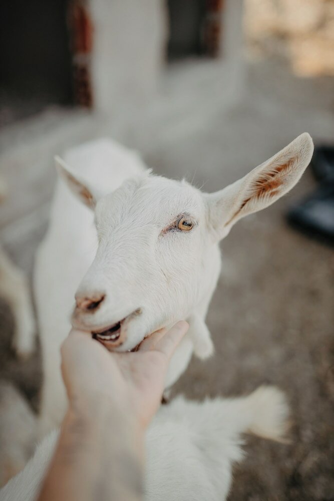 Фото Paradise Ranch