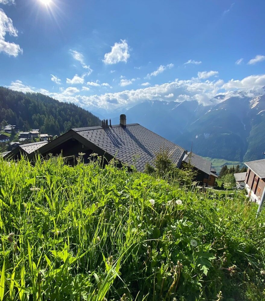 Фото Gunneheim Antares