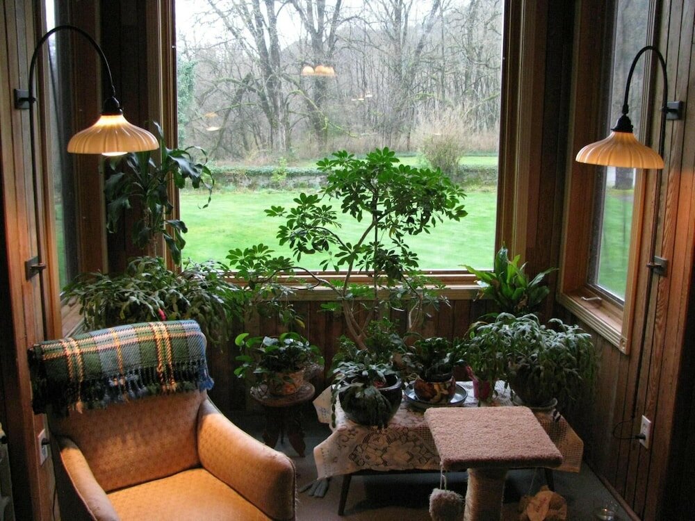 Фото Sasquatch Crossing Eco Lodge B&b