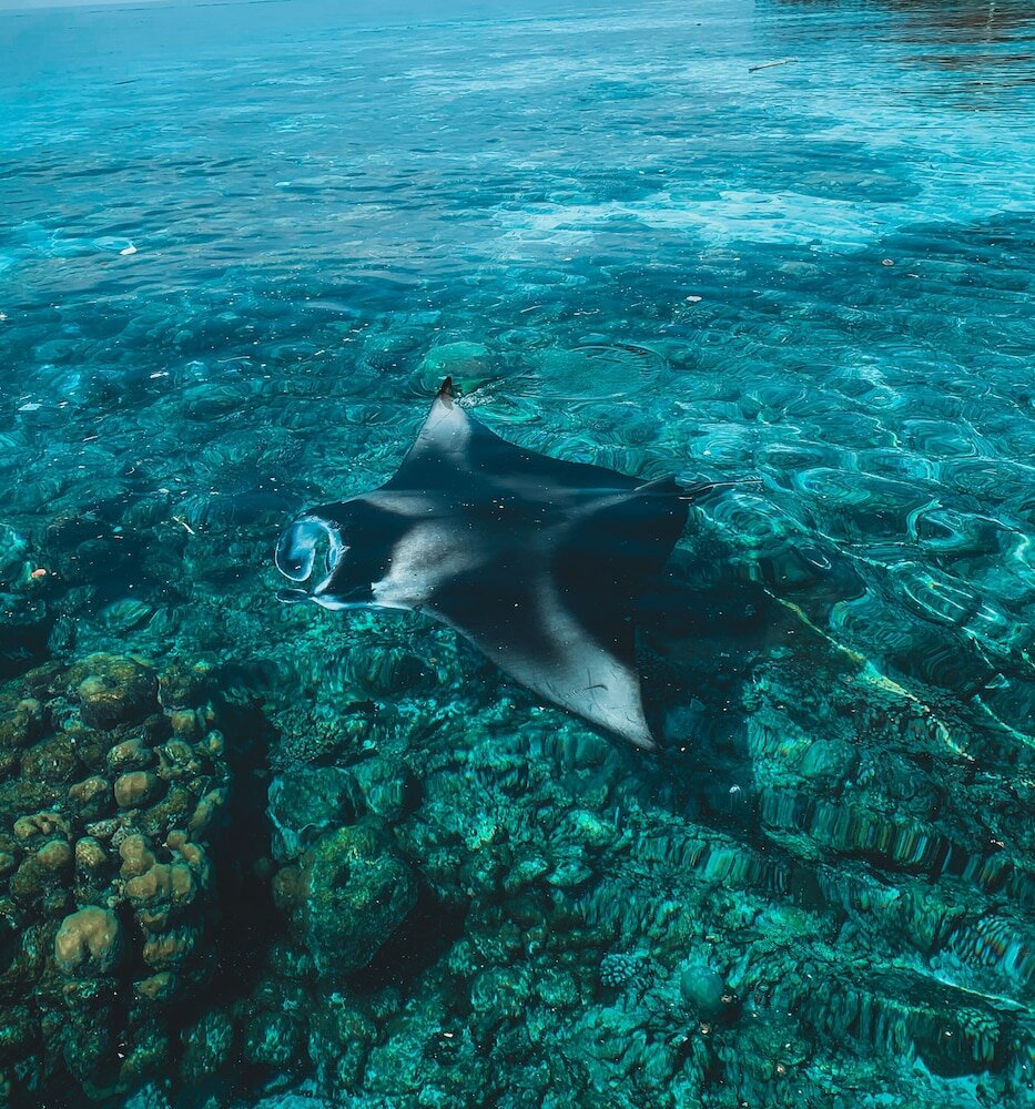 Фото Perla Dhangethi