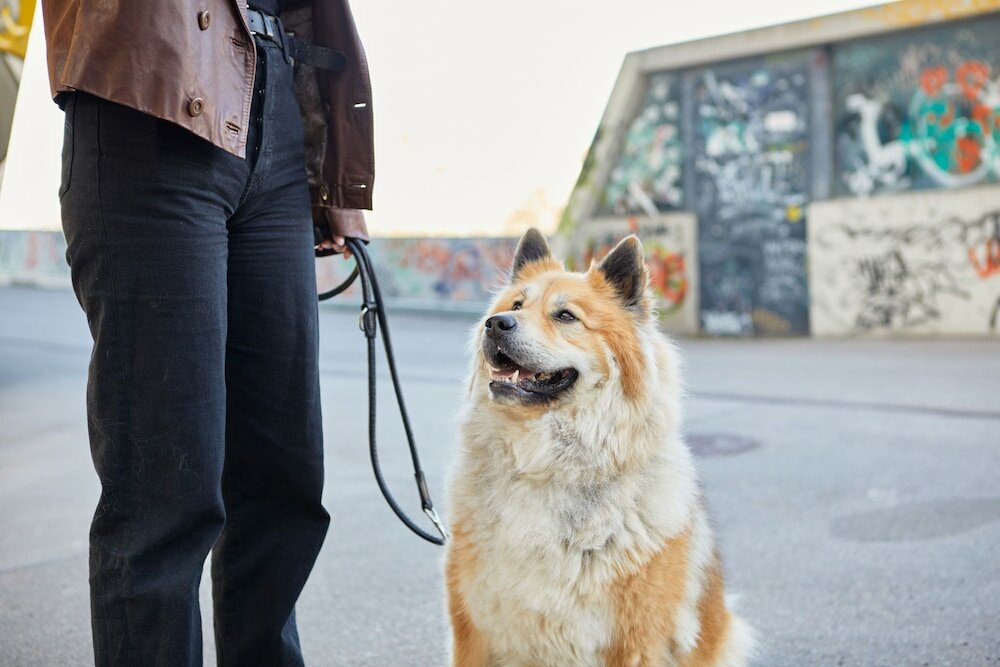 Фото Urban Island - Riverside Apartments