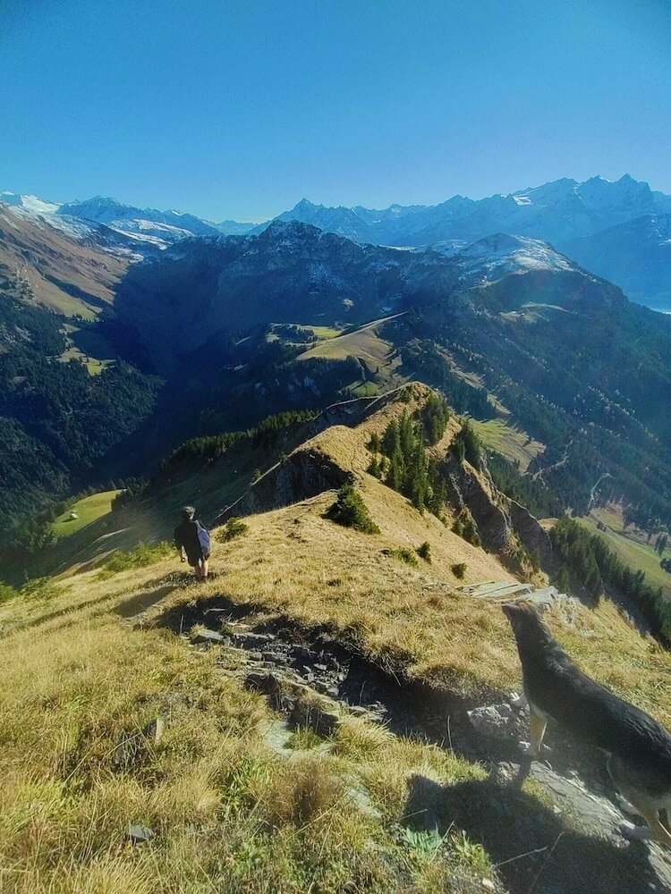 Фото Kunst- und Naturfreundehaus Brünig