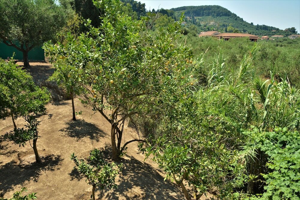 Фото Petros Giatras - Rooms