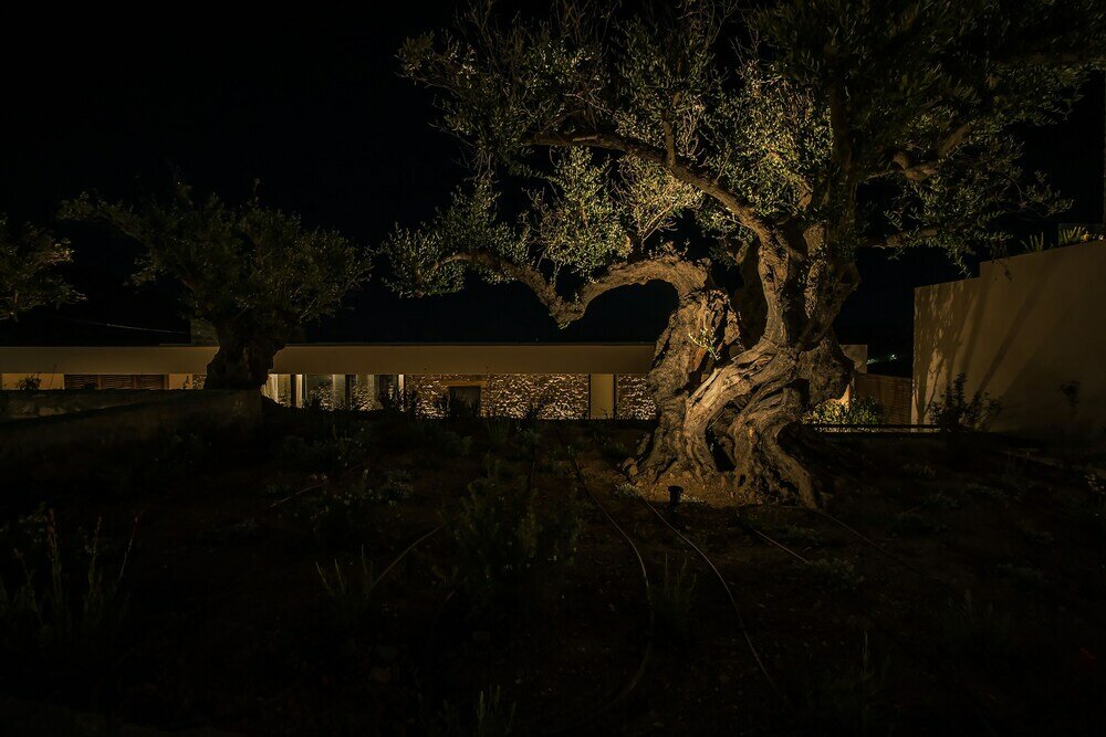 Фото Nuez Villas