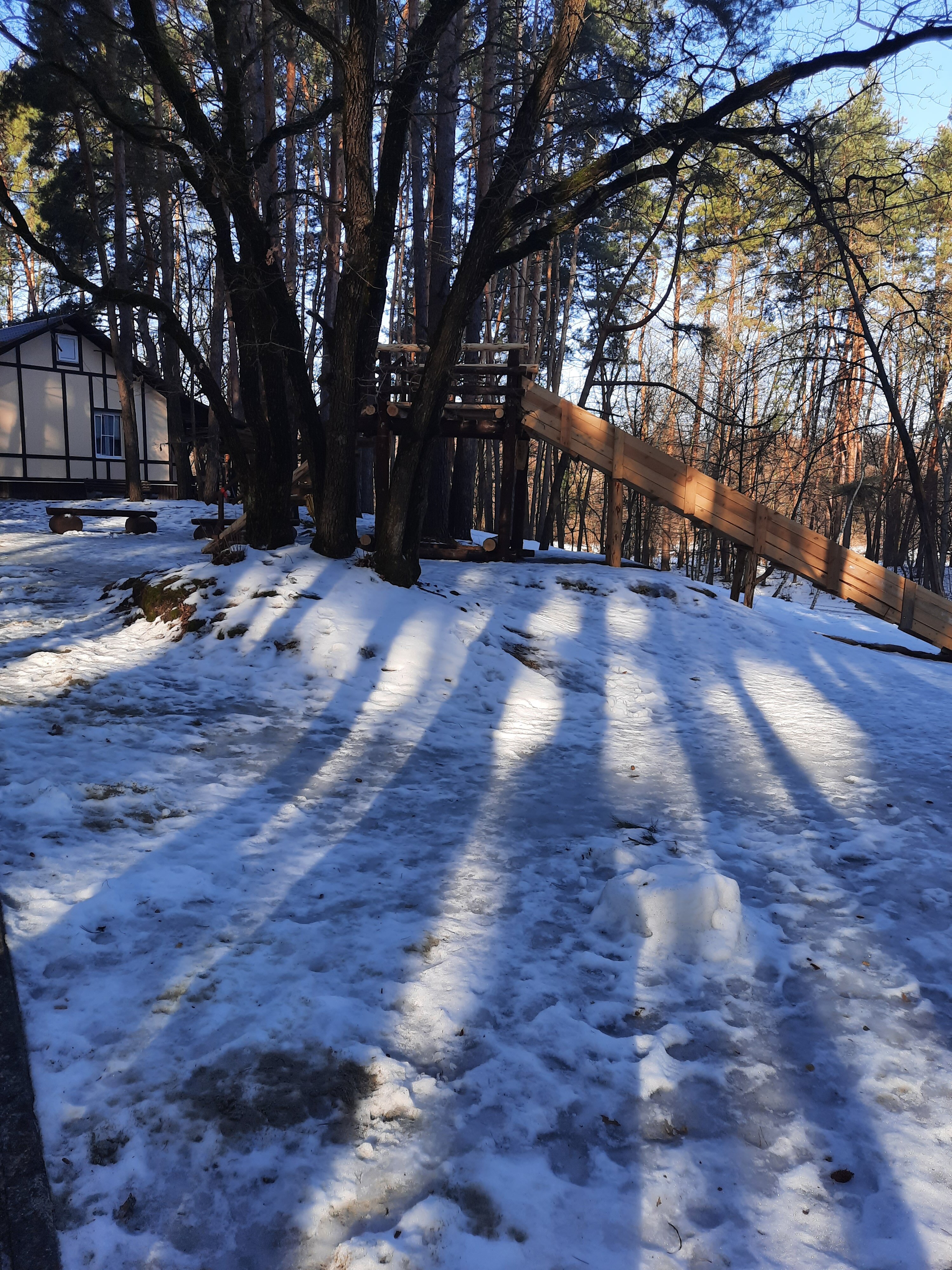 Фото Рахоль