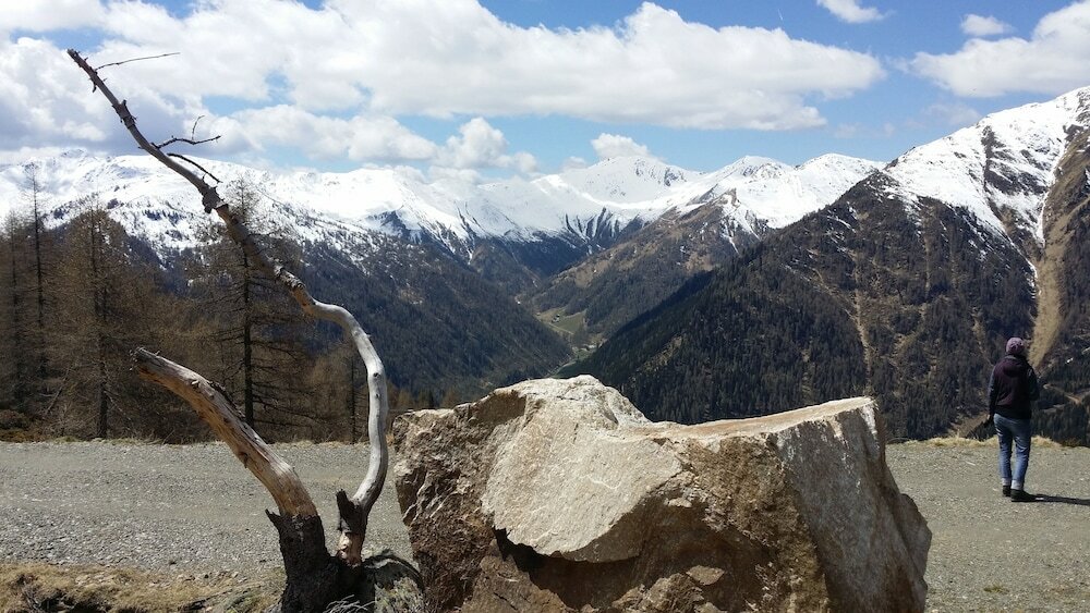 Фото Ferienwohnungen am Berg - Almhütte Alfen