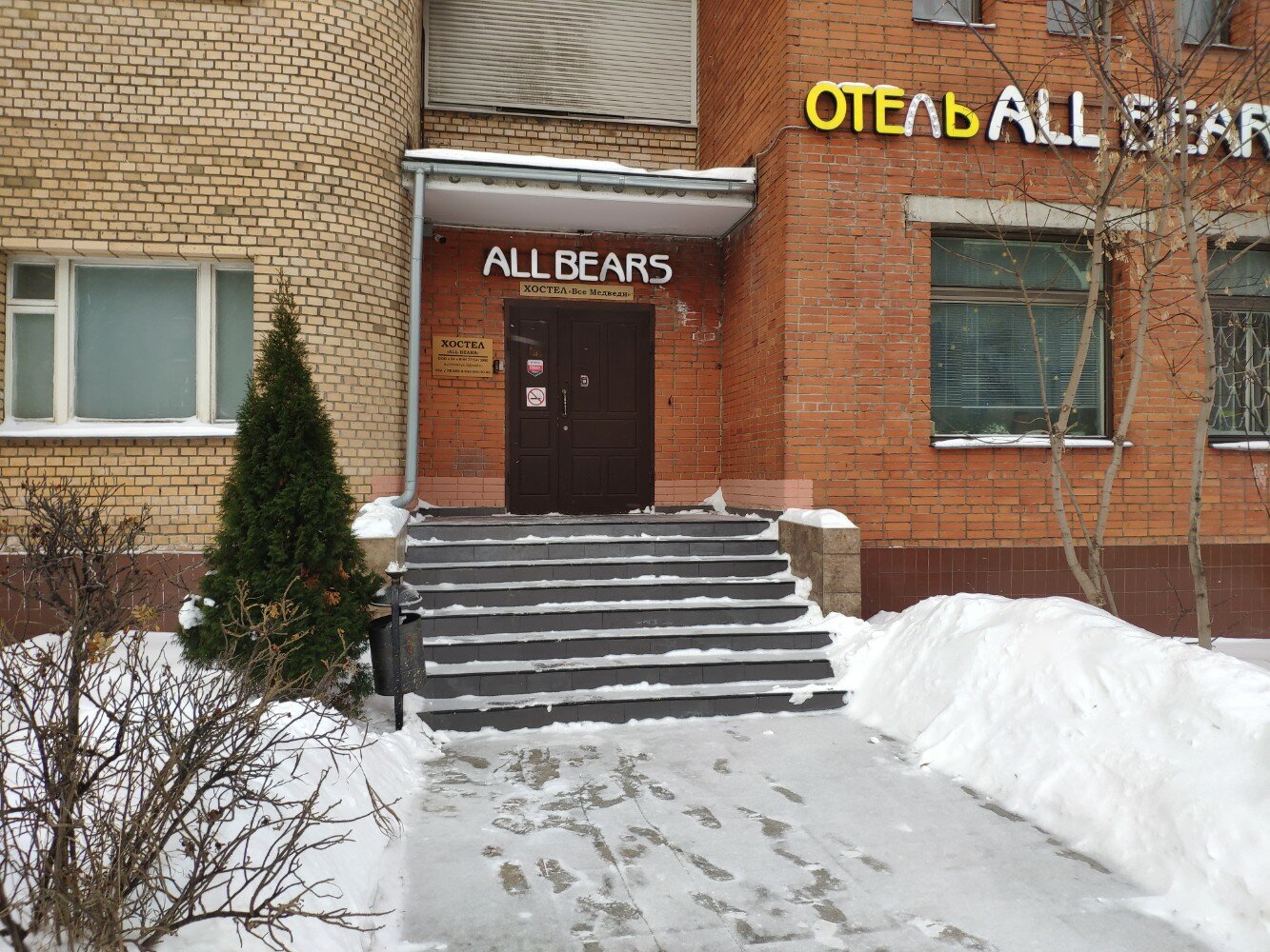 Фото Все медведи