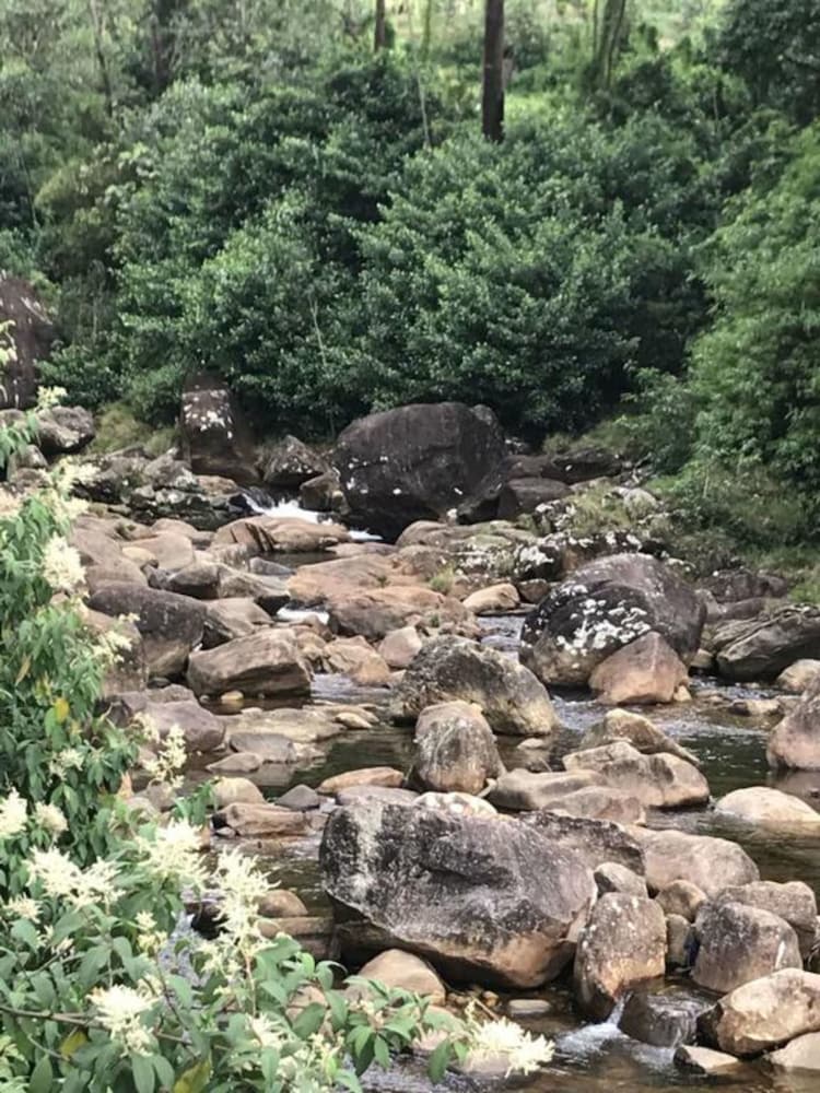 Фото Pure Land Villa