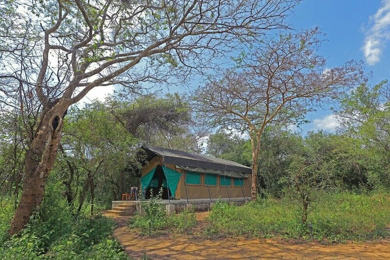 Гостиница Wilpattu Safari Camp - Campground