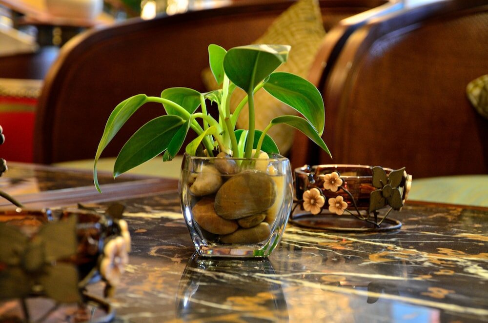 Фото Yangming Springs and SPA Resort