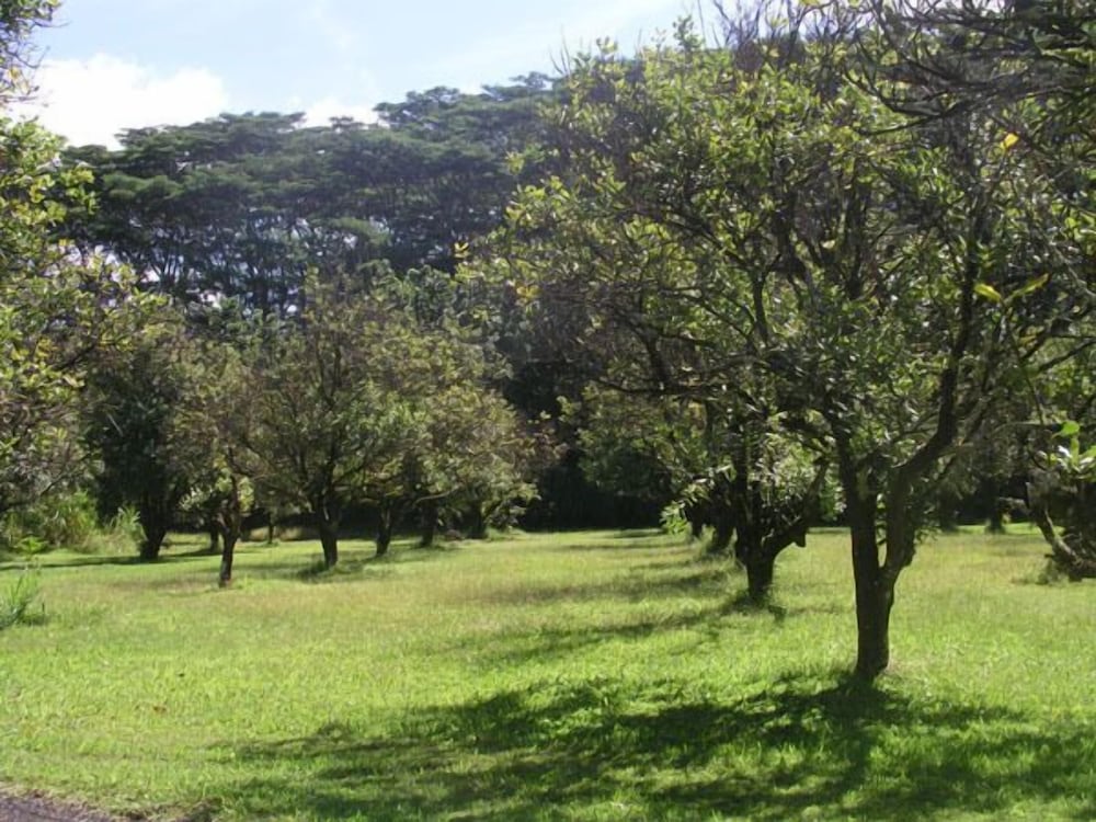 Фото Lava Tree Tropic Inn
