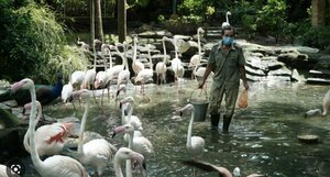 Гостиница Felix Hotel