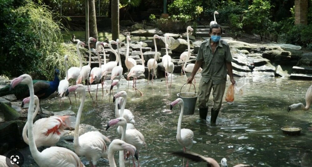 Фото Felix Hotel