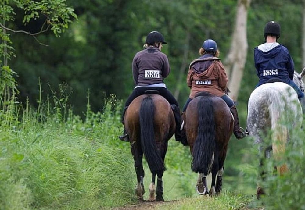 Фото Foxhill Manor – Adults Only