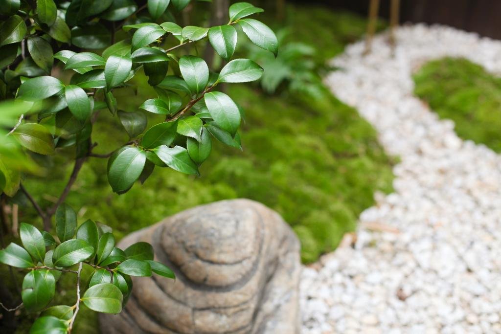 Фото Rinn Kiyomizu Gion